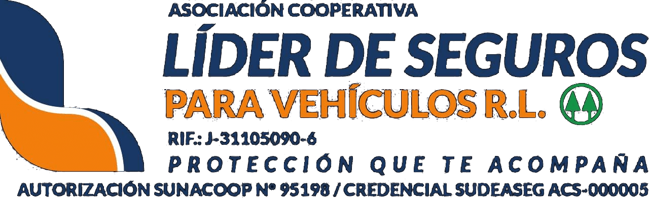 Logo de Líder de Seguros para Vehículos